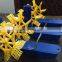 ECO Shrimp/fish Farm Use And/ Impellers Paddle Wheel Aerator