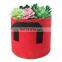 3 gallon 5 gallon 7 Gallon Planter Grow Bags for potato 2020 made in China