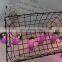 Hot Sale Unique Harvest Decoration Plastic Grape Shape String Light