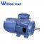 ip66 electric motor