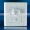 AC220V Fans Chandelier Wall switch Fan Speed Controller Ceiling Fan light Switch