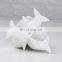 Ceramic Dolphin Planter Pot Succulent Plant Pot
