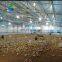 China Good Supplier Cheap Price Poultry Farming Steel Structure Chicken Shed Poultry House For Sale