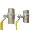 Top Quality Wholesale Custom  Cheap Fashion 2 Way Brass Angle Ball Valve With Handle