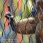 Stainless Steel Rope Cable Balcony Wire Woven Mesh Zoo Bird Aviary Netting