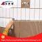 cement tile adhesive glue