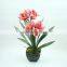 Pure handmade factory direct artificial flower /fake clivia wholesale price