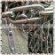 Steel Material and Drag Chain Function zinc link chain