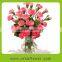 Cheap Fresh Cut Pink Carnation Wholesale