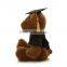 Stuffed Plush Doctor Graduation Gift Teddy Bear Toy