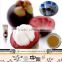 China products mangosteen extract