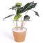 Bamboo Fiber Flower Pot