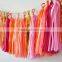 Colored Party Decorations Tissue Paper Tassel Garland Wholesale Paper Pom Poms