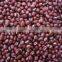 supplying SMALL RED BEANS (CHINA)for sale