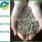 New crop Chinese sunflower seed kernel for export