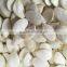 Fresh Best Cheaper Snow White Pumpkin Seed Suppliers