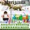 Mixed colors Cigar Cone Joints Weed rolling blunt tubes Plastic J-tube 109mm king size