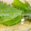 Favorable price best quality Aloe vera gel in bulk supply free sample