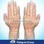 Powder Free Vinyl Examination Gloves Ambidextrous Good Quality PVC Gloves