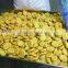 Frozen Fried Chicken Meat Nuggets
