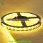 Zhongshan manufacturer SMD 5050 SMD 2835 flexible strip light rope light