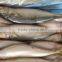 Frozen Mackerel Caught by Light Seine 300-400g