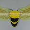 Hot sale yellow beautiful bee shape wing natural animal wing