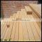 Solid and Hollow WPC outdoor decking