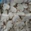 CHINA frozen champignon mushroom cut