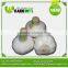 Wholesale Dehydrated Garlic