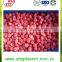 chinese orgnic fruit frozen strawberry