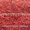 Dried Red Chilli