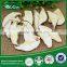 Wholesales whole and slice dried good quality mushrooms