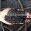 Olive waste charcoal making kiln retort