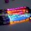 New style led flashing lights dog collar