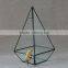 Indoor decor clear plant container hanging geometric glass terrarium
