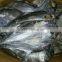 Frozen Seafood BLACK POMFRET OR BRAMA FILLET Frozen Fish