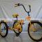 tricycle for adults tricycle bike TRTJ20-7