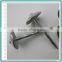 Twist Shank Galvanized Roofing Nails with Plastic Washer/Umbrella Head Nail