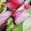100% linenchina manufacturer digital printed cotton bed linen