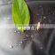outdoor faric breathable waterproof windproof fabric for sportswear/ jacket