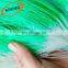 100% virgin material plastic trellis net plant climbing support netting cucumber netting vine netting Pea & Bean netting