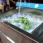 Saving Water Hotel Use Vegetable sterilization and disinfection Washer,Fruit Washing machine