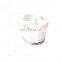 Sample Small 159MM Engine Piston 3631244 For K38 Diesel Engine