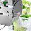 Multifunction 1000kg Per Hour Vegetable Fruit Potato Carrot Cutting Slicing Chopping Dicing Processing Machine