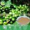 High quality pure chlorogenic acid extracted from green coffee bean