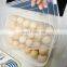 New Arrival Transparent Household Sundries Plastic Egg Storage Box