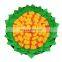 Supplies Flower Design Feeder Indestructible Wooly Pet Suction Cup Sunflower Snuffle Mat