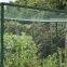 Agriculture Garden Protection Net Mesh High Strength HDPE Warp Knitted Green Bird Netting