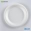 Disposable Biodegradable 6 INCH PLATE Take away Sugarcane  Outdoor dining and painting